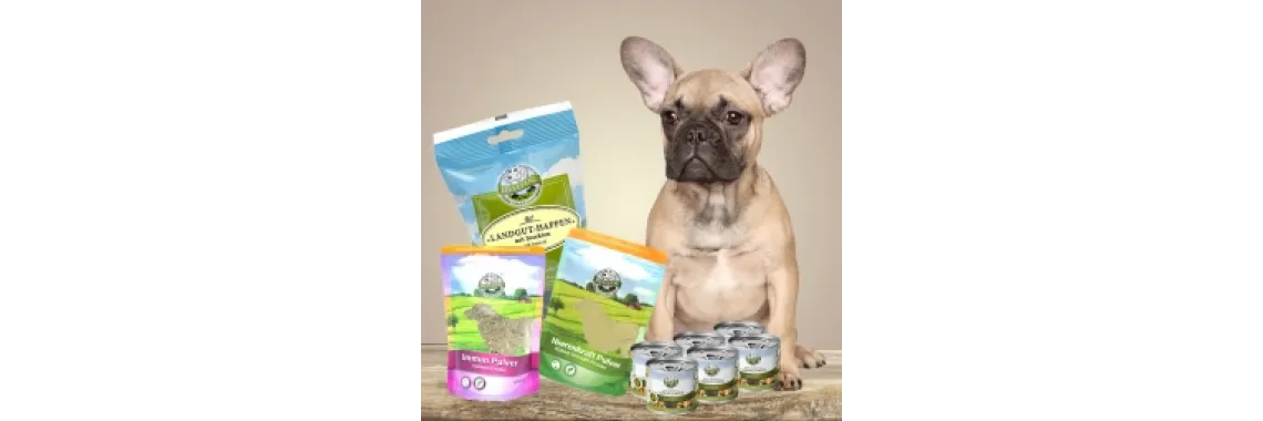 Test hunde blog